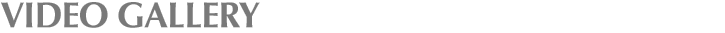 Video Gallery